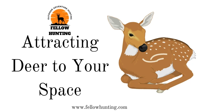 Attracting Deer to Your Space