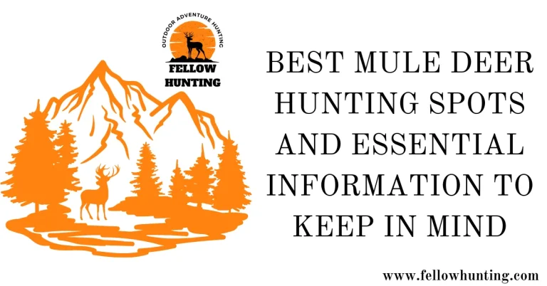 Best Mule Deer Hunting Spots and Essential Information to Keep in Mind