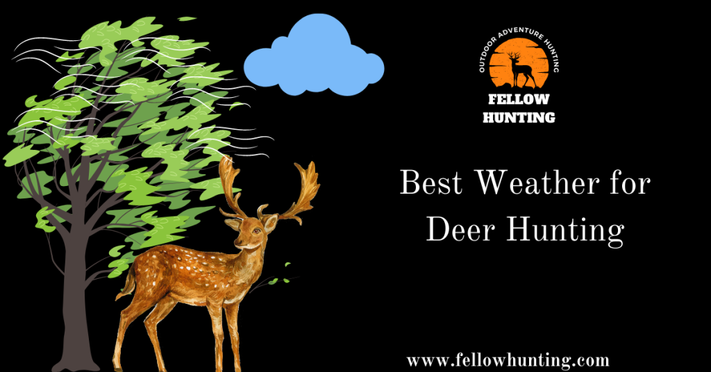 Best Weather for Deer Hunting