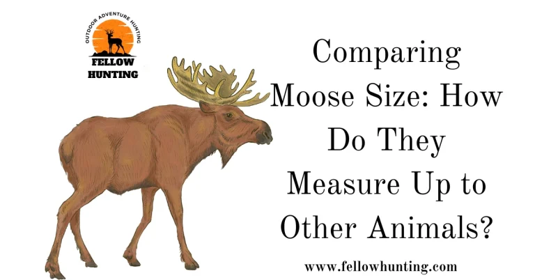 Comparing Moose Size: How Do They Measure Up to Other Animals?