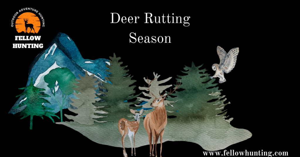 Deer Rutting Season