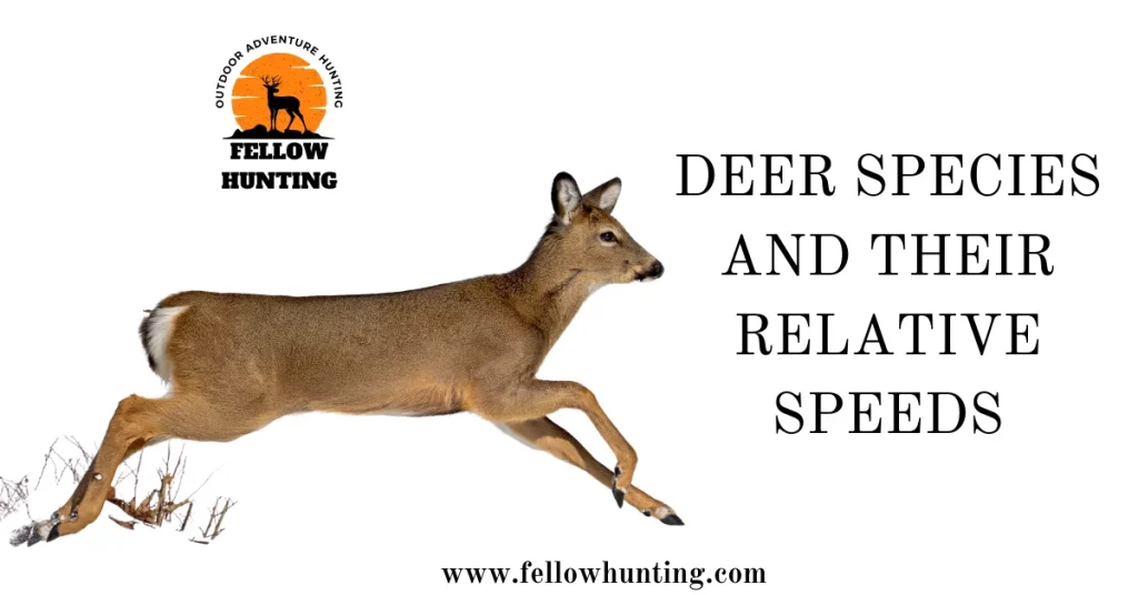 Deer Species and Their Relative Speeds