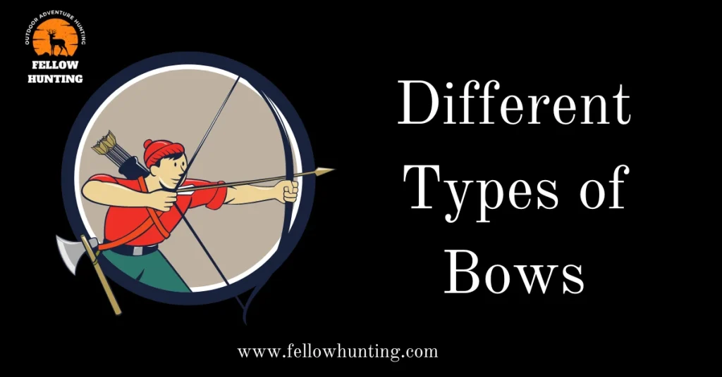Different Types of Bows
