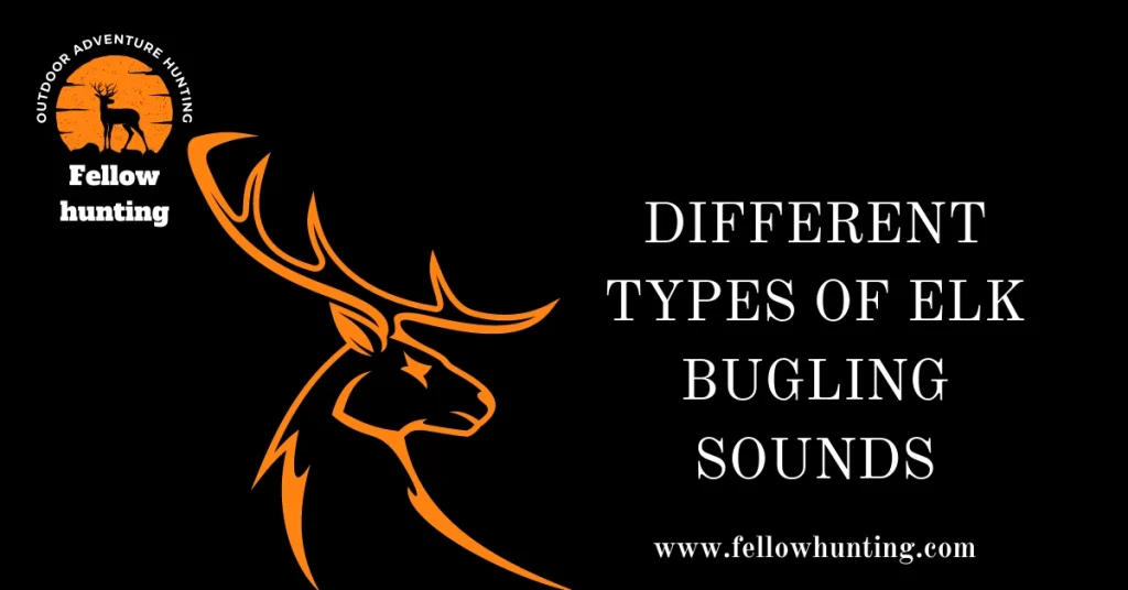 Different Types of Elk Bugling Sounds