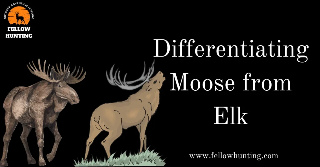 Differentiating Moose from Elk