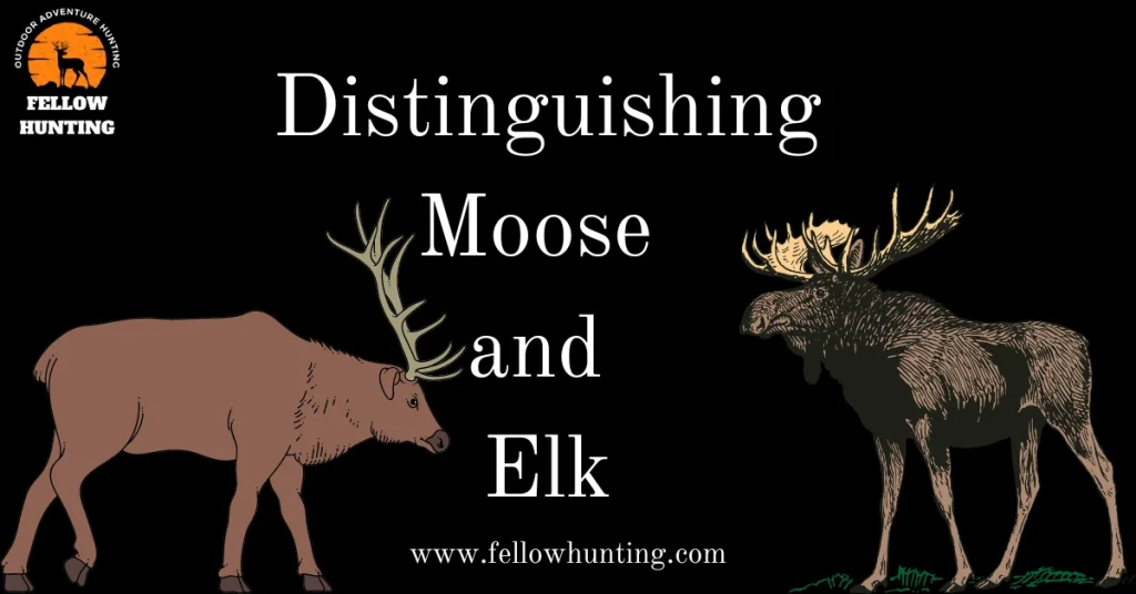 Distinguishing Moose and Elk: A Look at 5 Key Differences