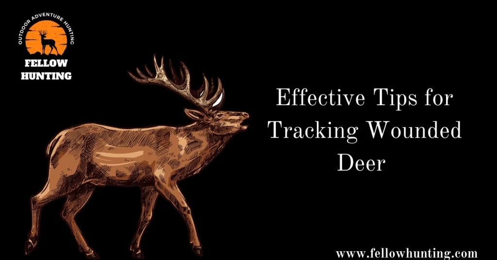 Effective Tips for Tracking Wounded Deer 