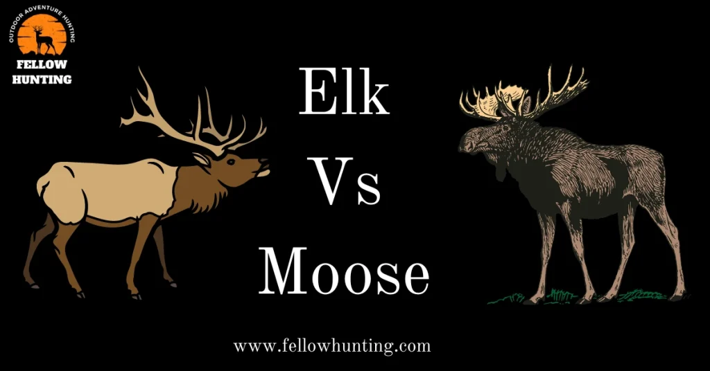 Elk Vs Moose: A Guide to 5 Key Differences