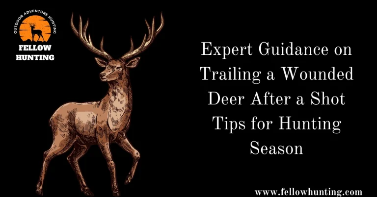 Expert Guidance on Trailing a Wounded Deer After a Shot – Tips for 2023 Hunting Season