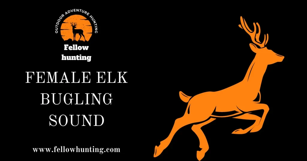 Female Elk Bugling Sound