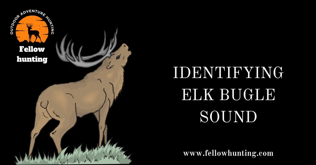 Identifying Elk Bugle Sound