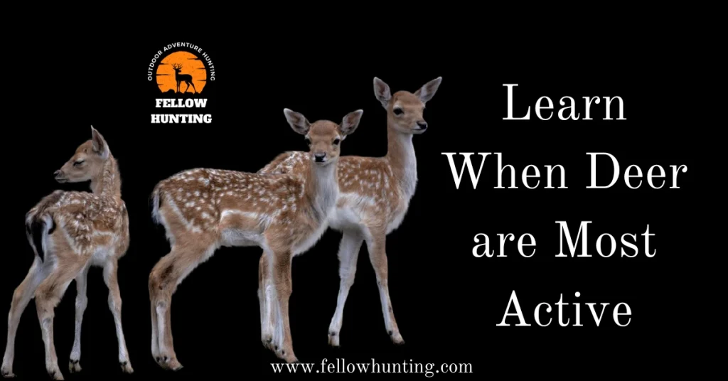 Learn When Deer are Most Active