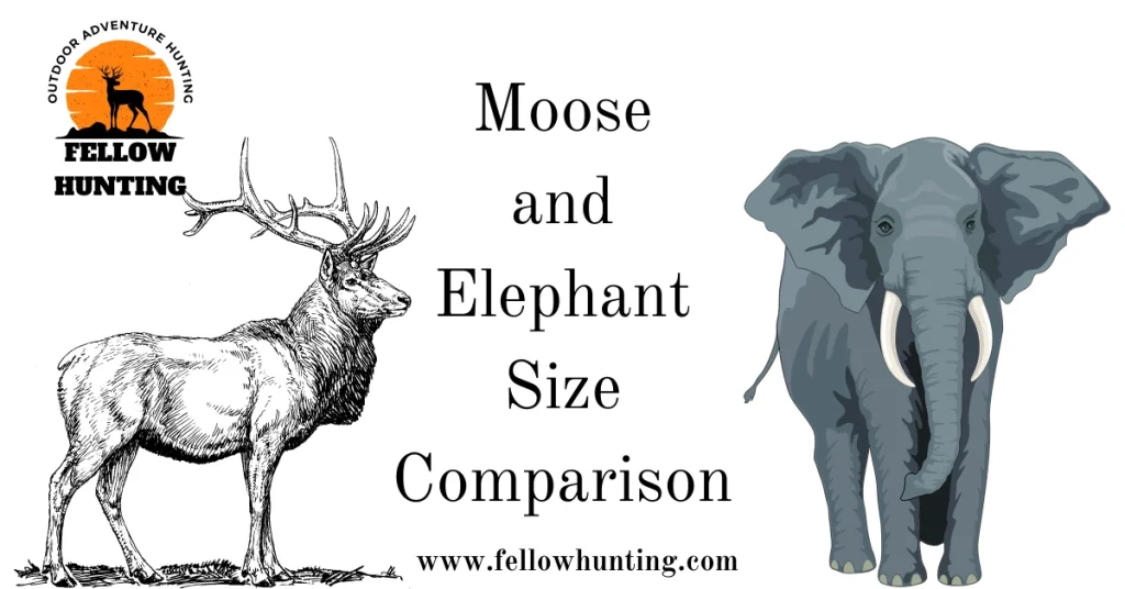 Moose Elephant Size Comparison