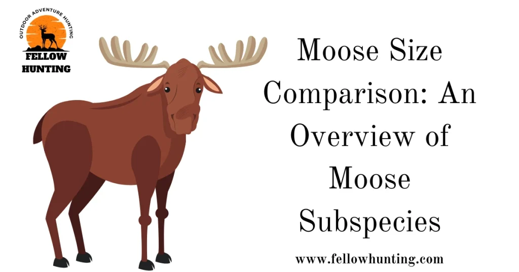 Moose Size Comparison: An Overview of Moose Subspecies