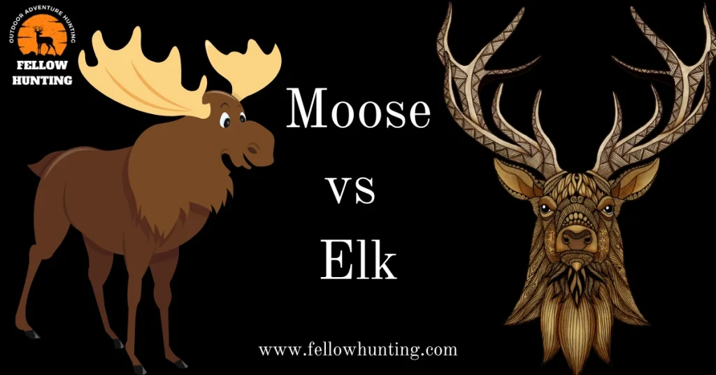 Moose vs Elk: Tracks