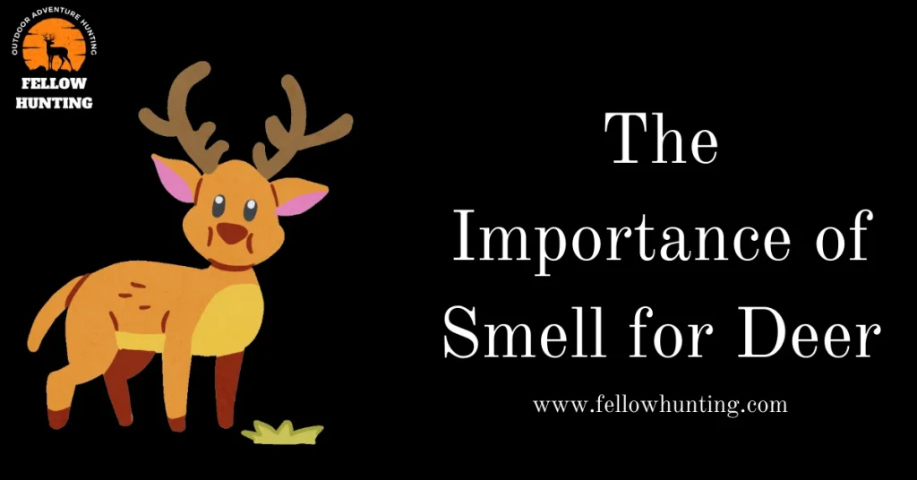 The Importance of Smell for Deer