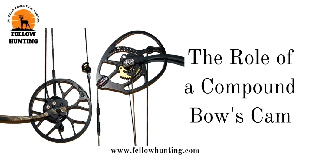 The Role of a Compound Bow's Cam