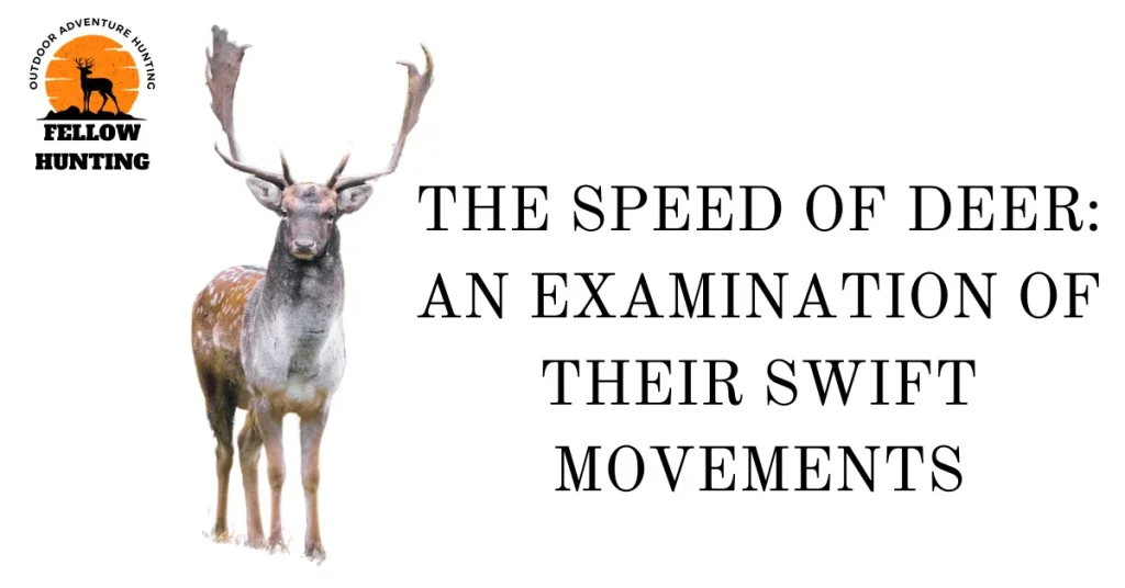 The Speed of Deer An Examination of Their Swift Movements