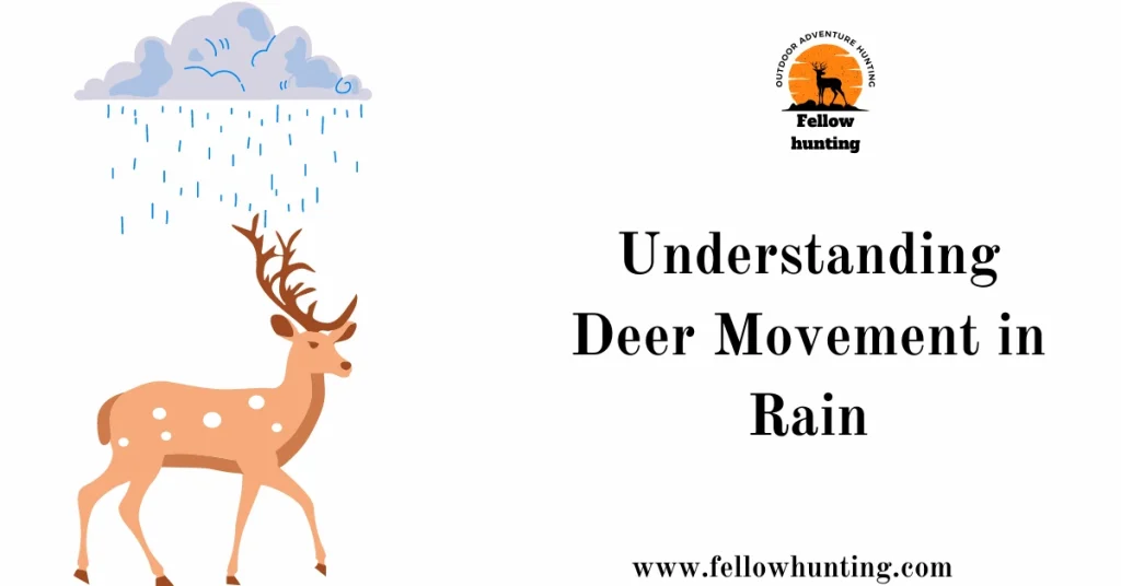 Understanding Deer Movement in Rain – A Comprehensive Study of Light and Heavy Rain Conditions