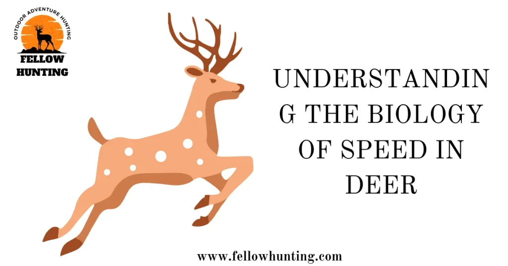Understanding the Biology of Speed in Deer