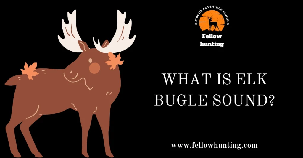 What is Elk Bugle Sound?