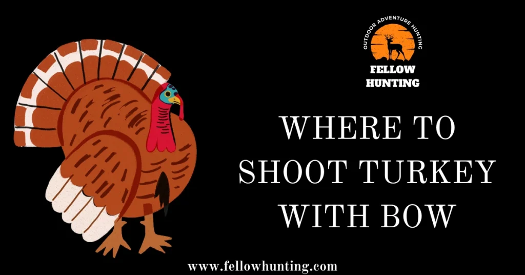Where to Shoot Turkey With Bow
