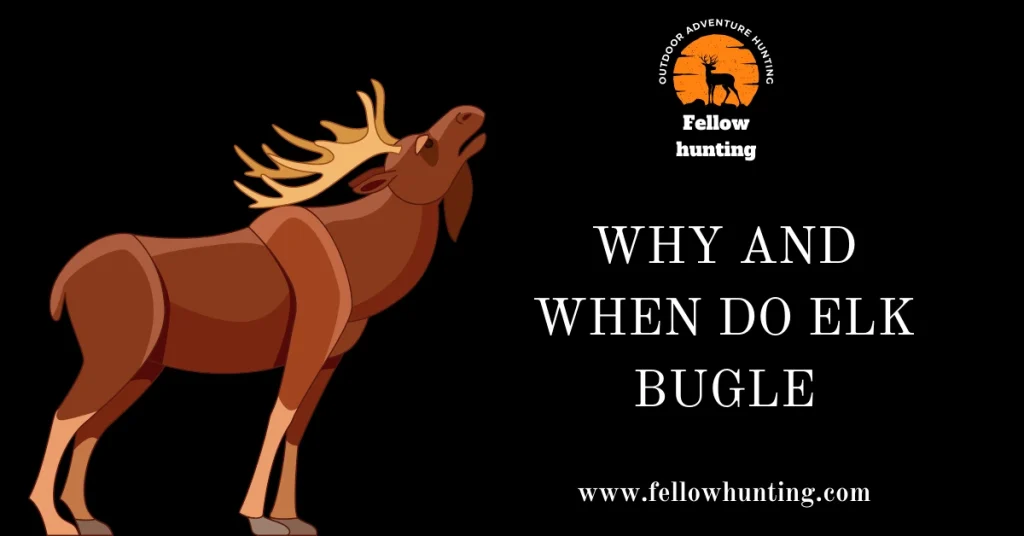 Why and When Do Elk Bugle? - Understanding the Meaning and Importance of Elk Bugle Sound
