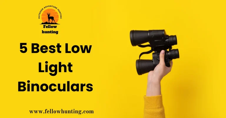 5 Best Low Light Binoculars of 2023 – Reviews & Buying Guide