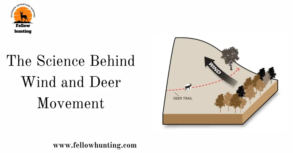 The Science Behind Wind and Deer Movement