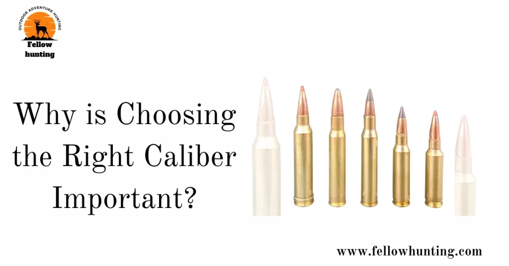 Why is Choosing the Right Caliber Important?