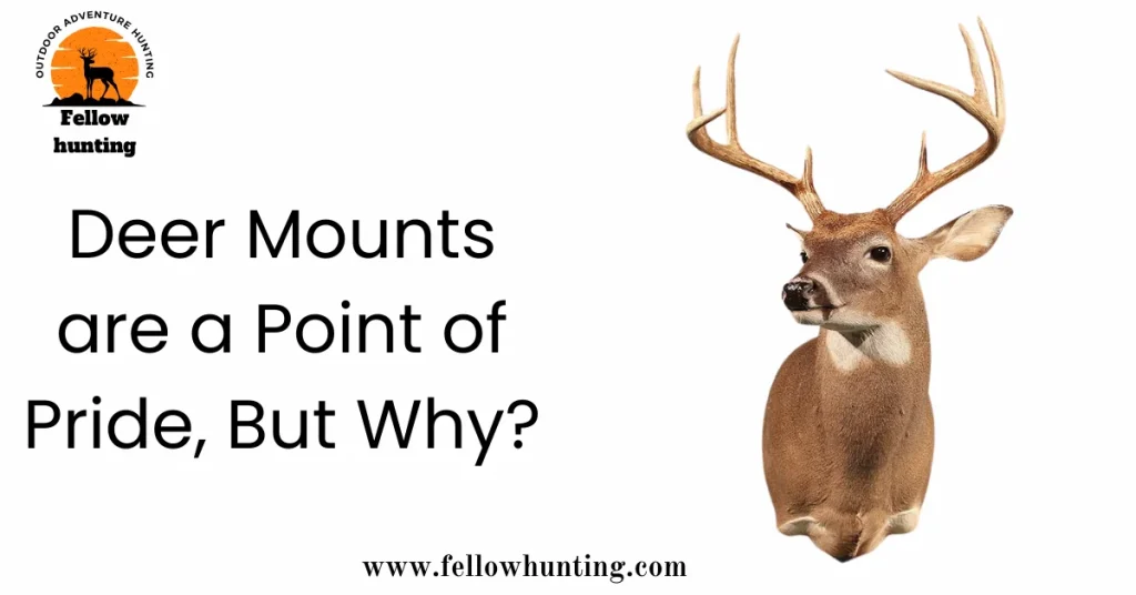 Deer Mounts are a Point of Pride, But Why?