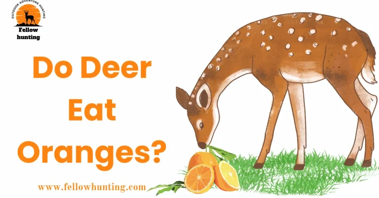 Do Deer Eat Oranges? Unveiling the Citrusy Truth!