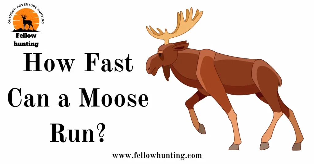 How Fast Can a Moose Run?