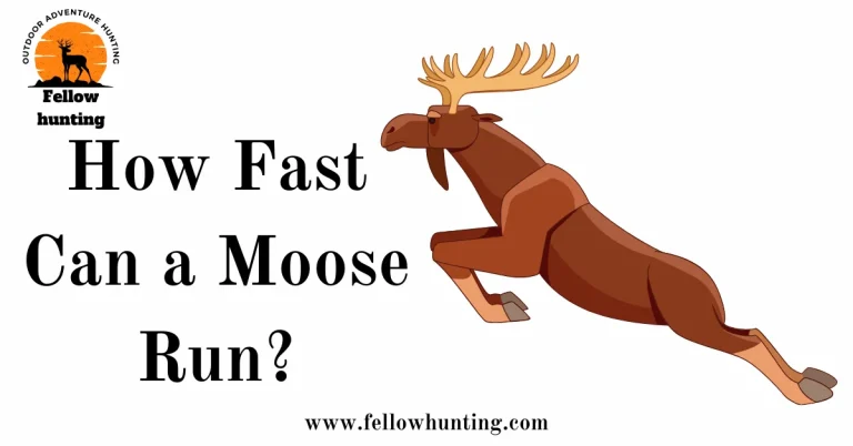 How Fast Can a Moose Run? Unveiling the Speed Secrets of These Majestic Beasts