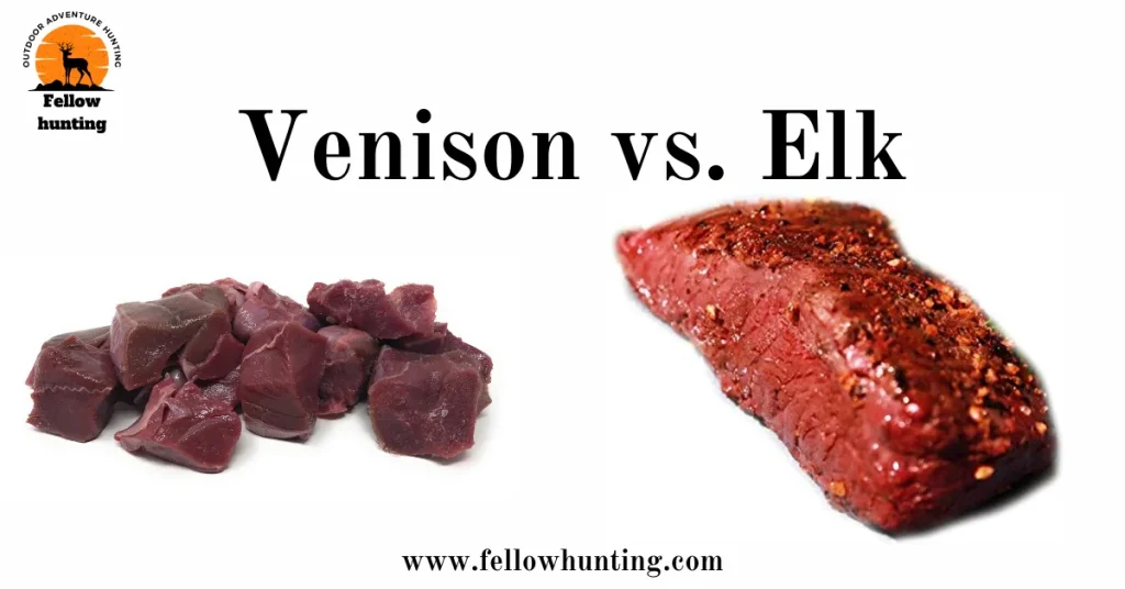 Venison vs. Elk