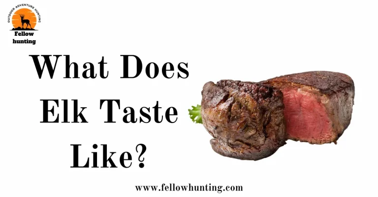 What Does Elk Taste Like? The Original Taste & Elk Meat Benefits–Your Expert Guide 2023