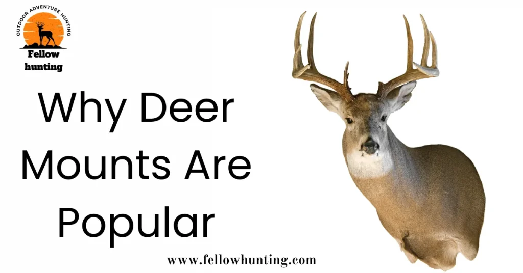 Why Deer Mounts Are Popular