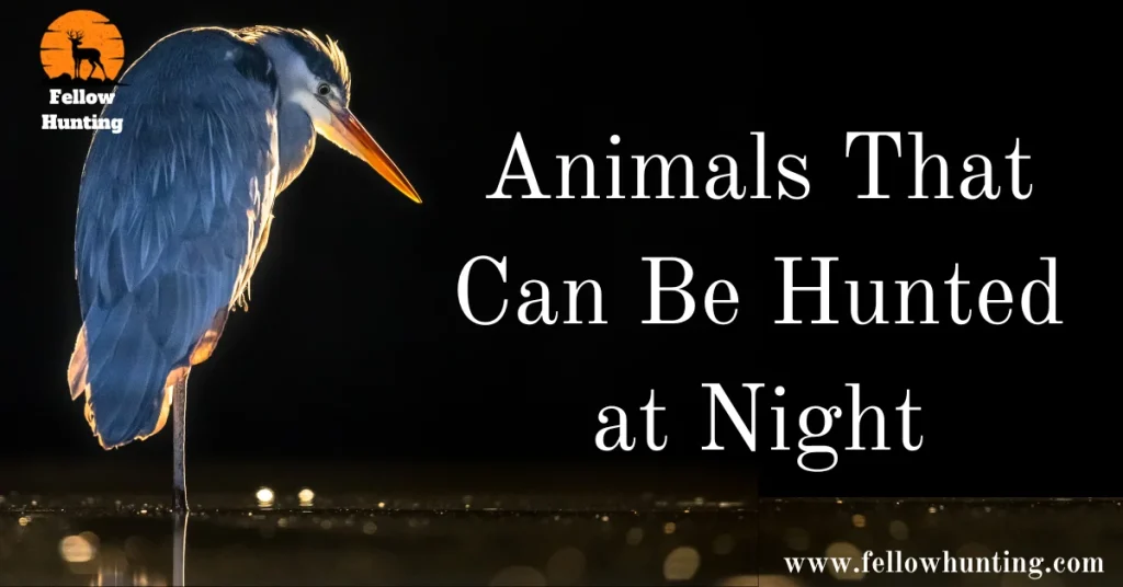 Animals That Can Be Hunted at Night