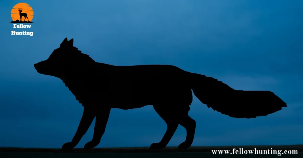 Can Night Hunting Affect Animal Behavior?
