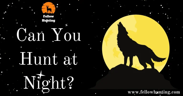 Can You Hunt at Night?: A Thrilling Experience Unveiled