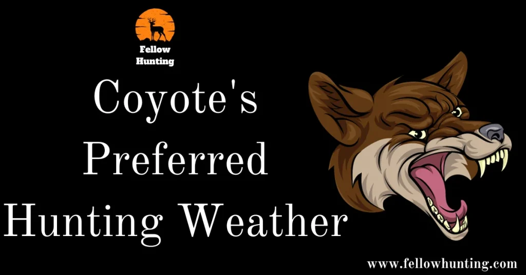 An In-Depth Look: Coyote's Preferred Hunting Weather