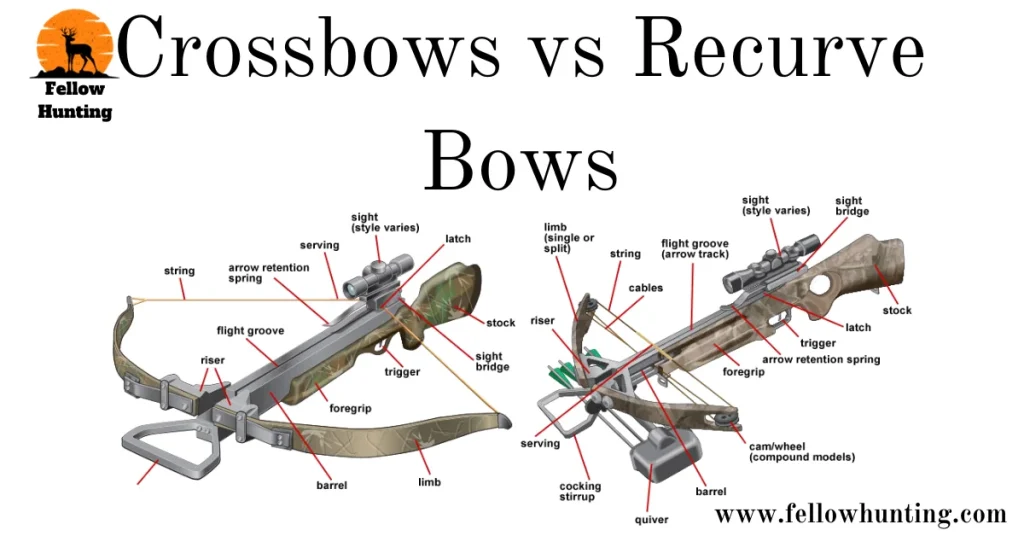 Comparing Apples to Apples: Crossbows vs Recurve Bows