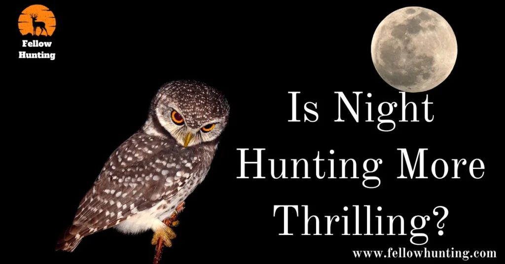 Is Night Hunting More Thrilling?