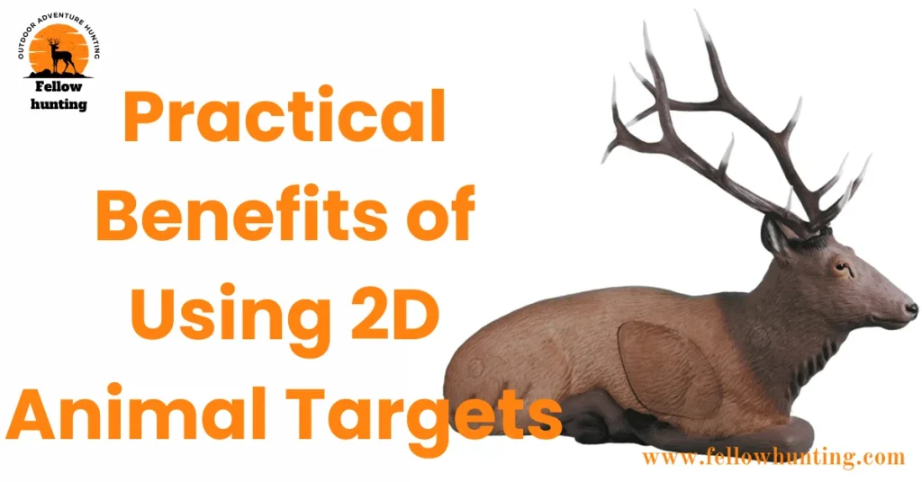 Practical Benefits of Using 2D Animal Targets