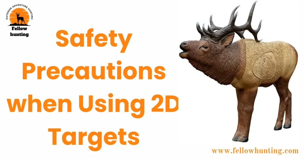 Safety Precautions when Using 2D Targets