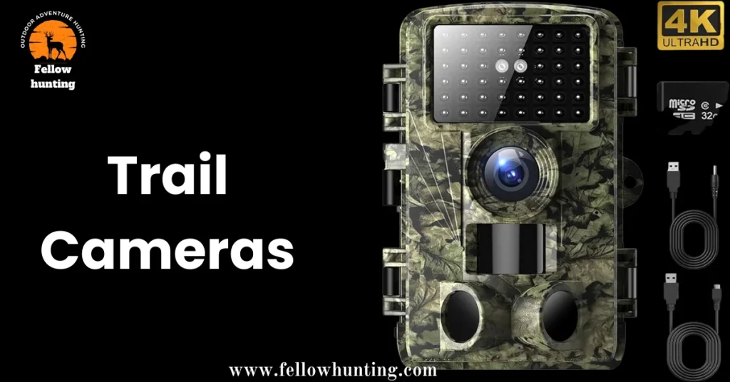 Trail Cameras: Capturing Movements