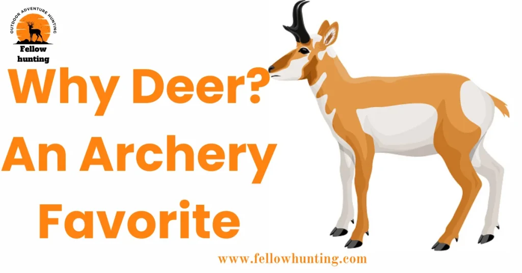 Why Deer? An Archery Favorite