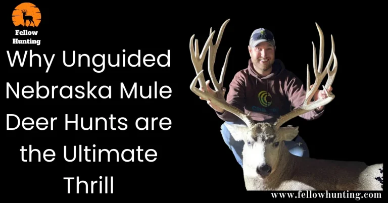 Unmissable Adventure: Why Unguided Nebraska Mule Deer Hunts are the Ultimate Thrill!