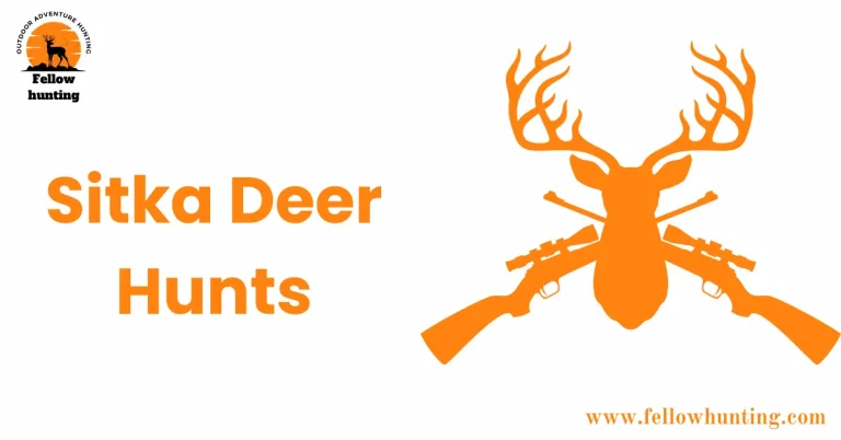 Your Ultimate Guide to DIY Sitka Deer Hunts: 12 Essential Tips for Success!
