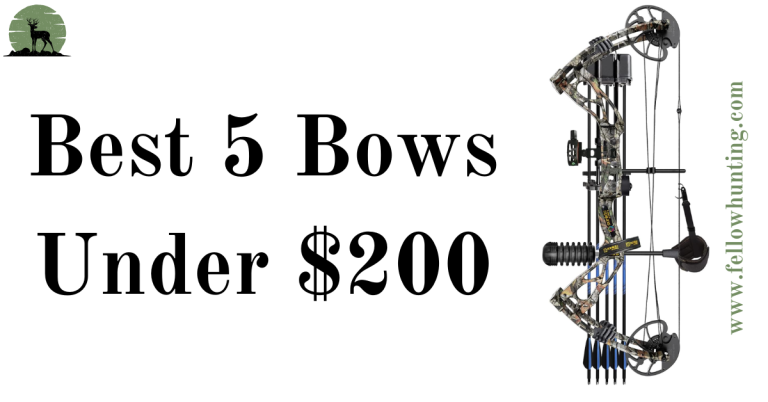 Discover the 5 Best Bows Under 200$ in 2024